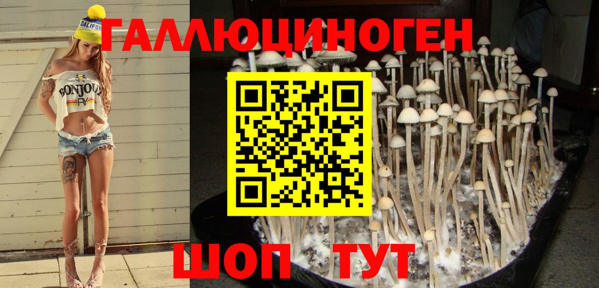 Галлюциногенные грибы мицелий Малгобек