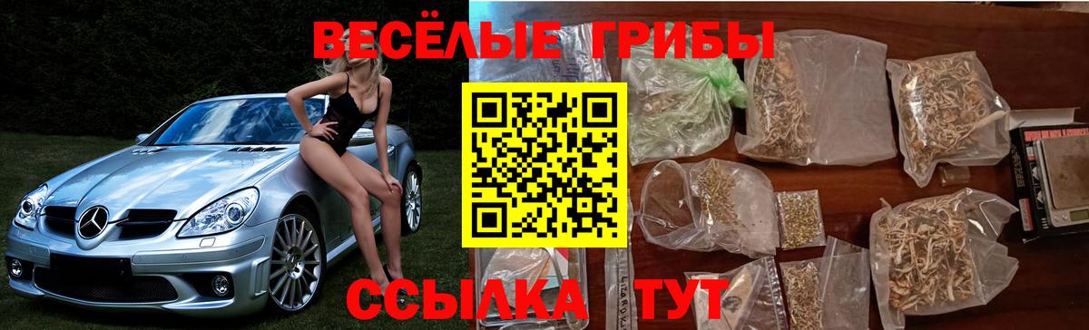 Малгобек  Псилоцибиновые грибы прущие грибы  Вход с VPN 